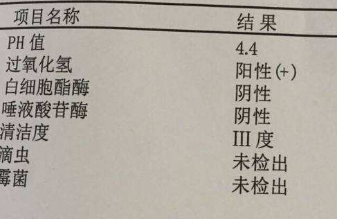 阴道分泌物香蕉视频黄污下载分析阴道清洁度