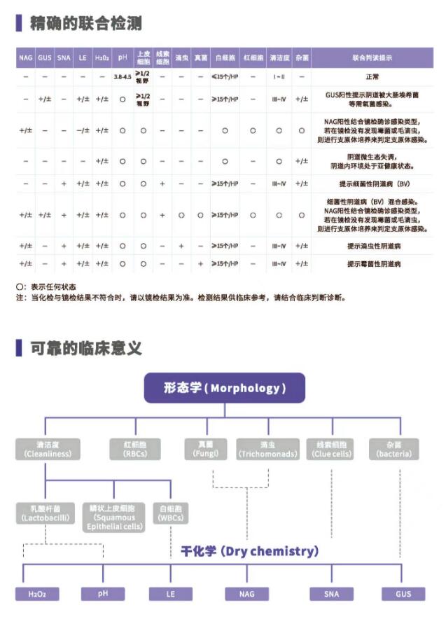 阴道分泌物在线观看香蕉视频V800精确的联合检测