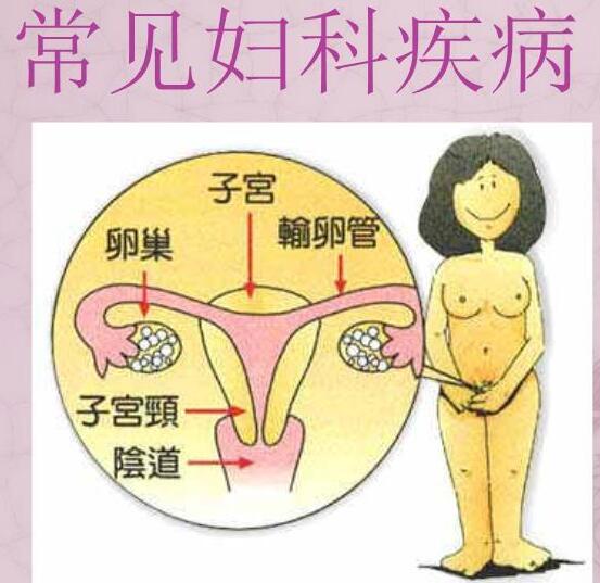 医院全自动白带在线观看香蕉视频检测女人妇科3种症状，谨防子宫长瘤！